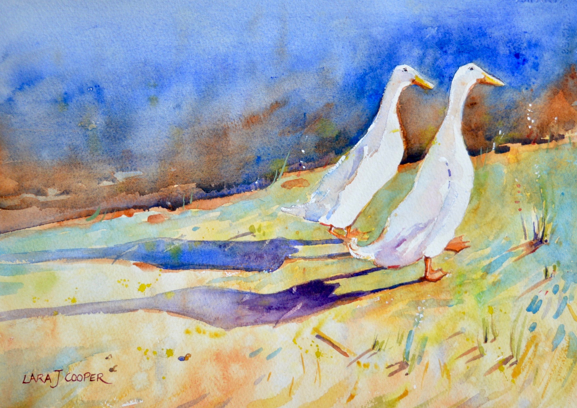 ducks, duck, runner duck, painting, watercolour, paddock, free range, happy, sunshine, shadow