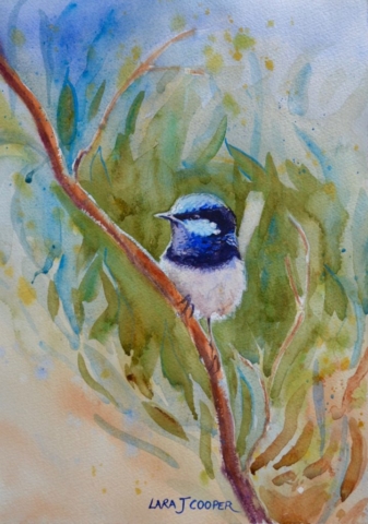 blue wren, bird, australian bird, blue, watercolour, painting, native, wildlife, fauna